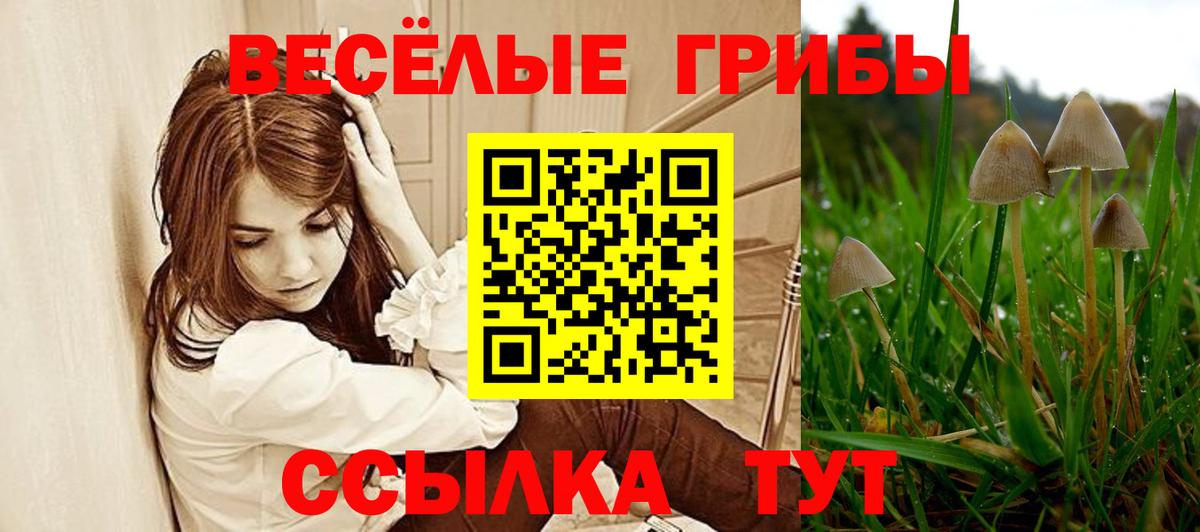 Галлюциногенные грибы Cubensis Кунгур