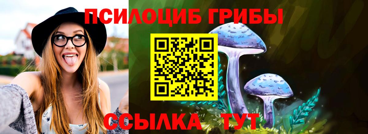 Кунгур  Псилоцибиновые грибы мухоморы  Вход с VPN  Псилоцибиновые грибы мухоморы 